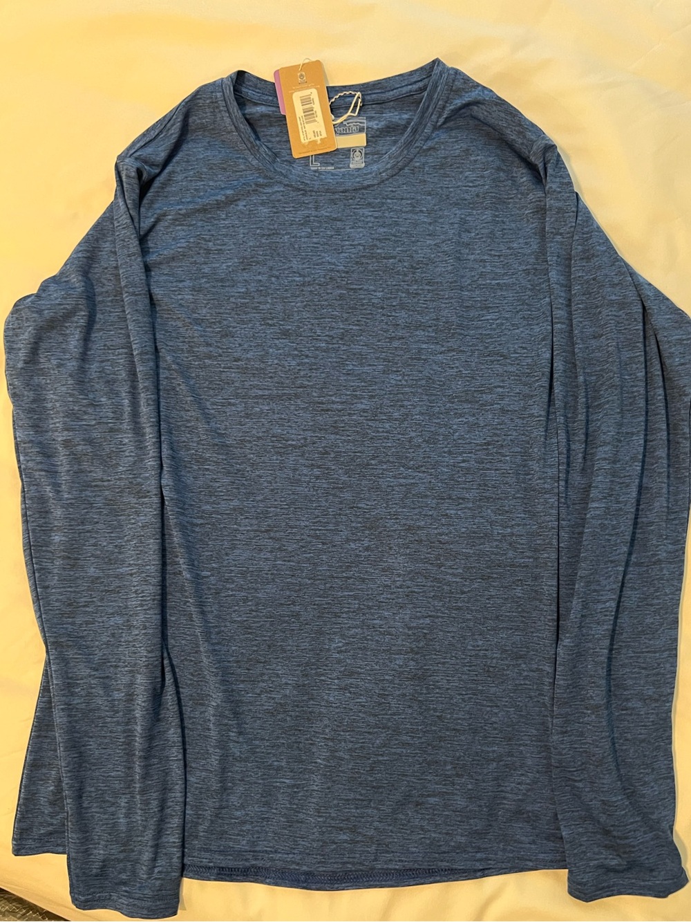Patagonia Women’s L Capilene Cool Daily Long Sleeve Shirt Blue Crewneck Tee